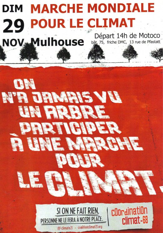 marche_mondiale_climat_Mulhouse.jpg