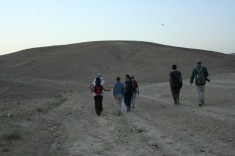 875.JPG