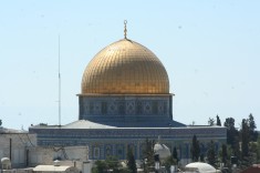 IMG_3073.JPG