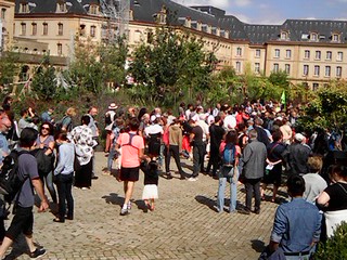 4 - IMG02096.jpg