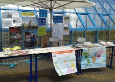 Stand_Hilaire_07-2017.jpg