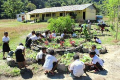 Jardin scolaire à l'école de Lekisolo au Timor Oriental