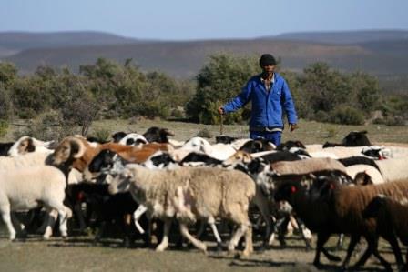 188_1026_Rebelskop_EFA_-_Kuilenberg_-_Sutherland_-_Karoo.jpg, janv. 2014 188_1026_Rebelskop_EFA_-_Kuilenberg_-_Sutherland_-_Karoo.jpg