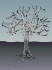 arbre01.jpg